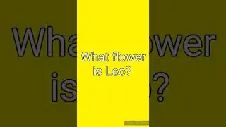 ♌ What flower is Leo?