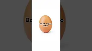 congrats you found a rare egg 🥚