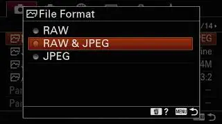 JPEG & Raw Options Sony camera