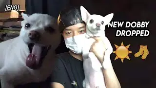 [ENG] Ravn teasing pretty puppy Sunny | ONEUS vlive moments