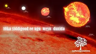 10 ka xiddigood ee dunida ugu weyn. Qorraxdu waa xiddig... Urur xiddigeed? |Hawada Sare.|