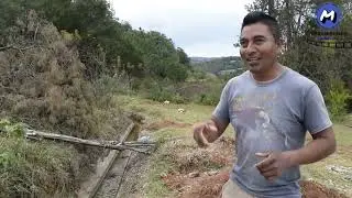 Entrevista Comité Camino el Cerezal | Aldama Chalcatongo| OAX