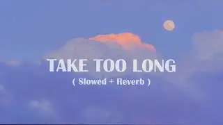 Take Too Long (Slowed + Reverb) - Alan Avry