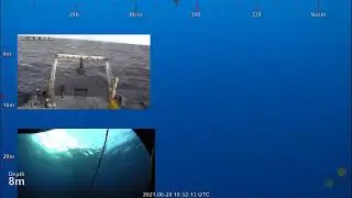ROV Dive 436 - US EEZ Seamount - South Side