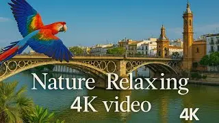 Nature Relaxation 4k-paceful Relaxing Music -Nature 4k video Ultra HD|| 2025