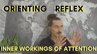 Orienting Reflex and Attention: How Does the Orienting Response Work