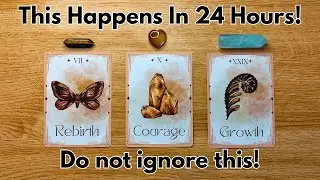 YOU WILL RECEIVE THIS IN 24 HOURS  DO NOT IGNORE THIS Pick A Card  Timeless Tarot Reading