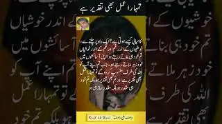Top Quotes Series Hazrat Wasif Ali Wasif 4/1000 #wasifaliwasif #islamicquotes #aqwal #tasawuff