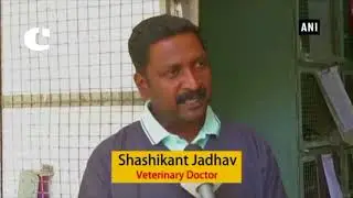 Birds Hospital in Ahmedabad