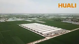Breeder Floor Raising Farm Project @HUALI