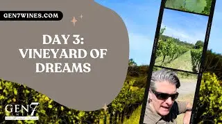 Day 3 Vineyard of Dreams
