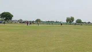 cricket Point