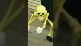 il mio scheletro quando &egrave; finita la scuola