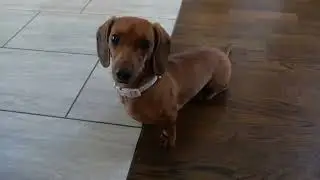 Going For A Walk