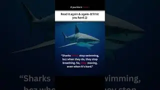 The Shark&rsquo;s Lesson on Survival #quotes #life #motivation
