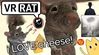 All Day VR Rat Shenanigans