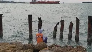 INFO TERKINI SPOT DERMAGA REMBANG || HOLI SLUKE