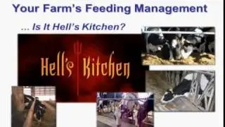 Cornell ProDairy Thursday Dairy Update with Dr. Rick Grant
