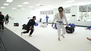 Gi Class At Brazilian Fight Factory Austin
