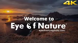 Showreel Eye of Nature | 2020 4K