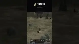 #lineage2 #rebornx1 #retrogaming #retrommorpg #trendingshorts #tetaw
