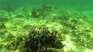 Maeda Flats Beach 51