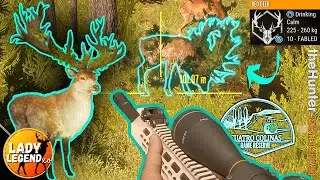 GREAT ONE Red Deer INITIAL SPAWN with the ZARZA .308 + MELA MESS-UP!!! 😳 - Call of the Wild