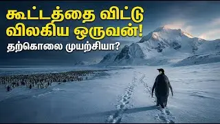 மரணத்தை நோக்கிச் சென்ற ஒரு பென்குவின்! 🐧💔 ஏன்? | The Lonely Penguin Mystery #penguins