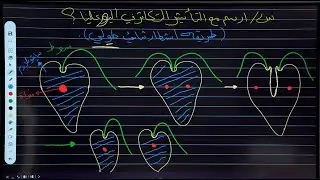 رسومات الفصل الثالث || رسم اليوغلينا