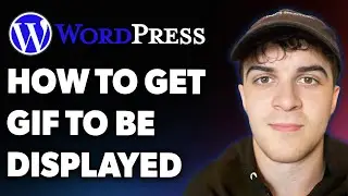 How to Get Gif to Be Displayed in Wordpress (Full 2025 Guide)