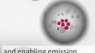 Encapsulated cells to fight cancer
