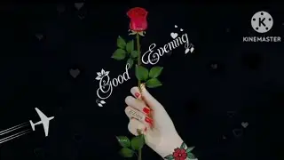 2025 New Good Evening Status 🌺 Good Evening Wish 🌺 What's App Status 🌺