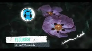 Flourish - CelDro & Emil Wennerholm (NoCopyright Sound Notes (NCSN))