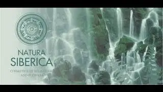 Rutina diaria + Sorteo 2do aniversario ( gracias a Maquillaje Total)