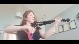 The Beatles ~ Eleanor Rigby ~ Electric violin cover 🎻 🖤❤️💜