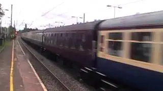 D1015 'Western Champion' passing Leyland heading north on a Charter Train 31st July 2010