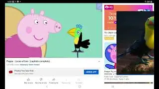 El loro Pucas
