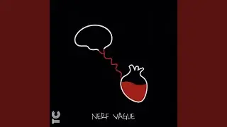 Nerf Vague