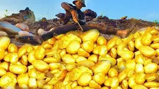 Omg wow collection videos Miner Gold Finding and digging gold at the mountain.