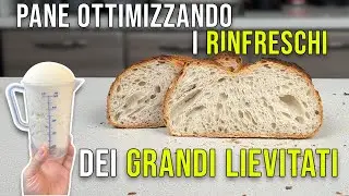 Pane con Lievito Madre: Sfruttando i Rinfreschi dei Grandi Lievitati!!! Mai pi&ugrave; sprechi | TUTORIAL!!