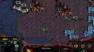 ZvP 6 Pool Build