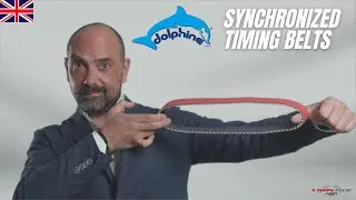 THE BEST OF: DOLPHINE - Synchronized Timing Belts (Eng) - VISION TECH
