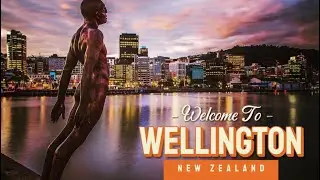 The Best Little City in the World | Wellington NZ Walking Tour | Top Sights & Hidden Gems