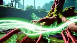 How trees communicate underground?