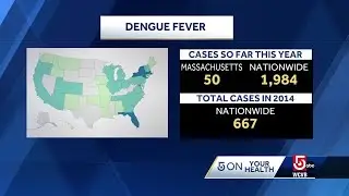 Cases of dengue fever on rise in Mass.