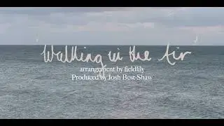'Walking in the Air' / fieldlily - Official Lyric Video