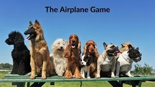 Brain Training for Dogs| Curing Sadie&rsquo;s Whining