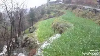 Swat shahdhei