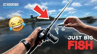 Just BIG FISH no ALENTEJO PROFUNDO!!