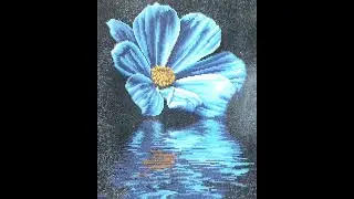 Day 3 of Flower Reflection